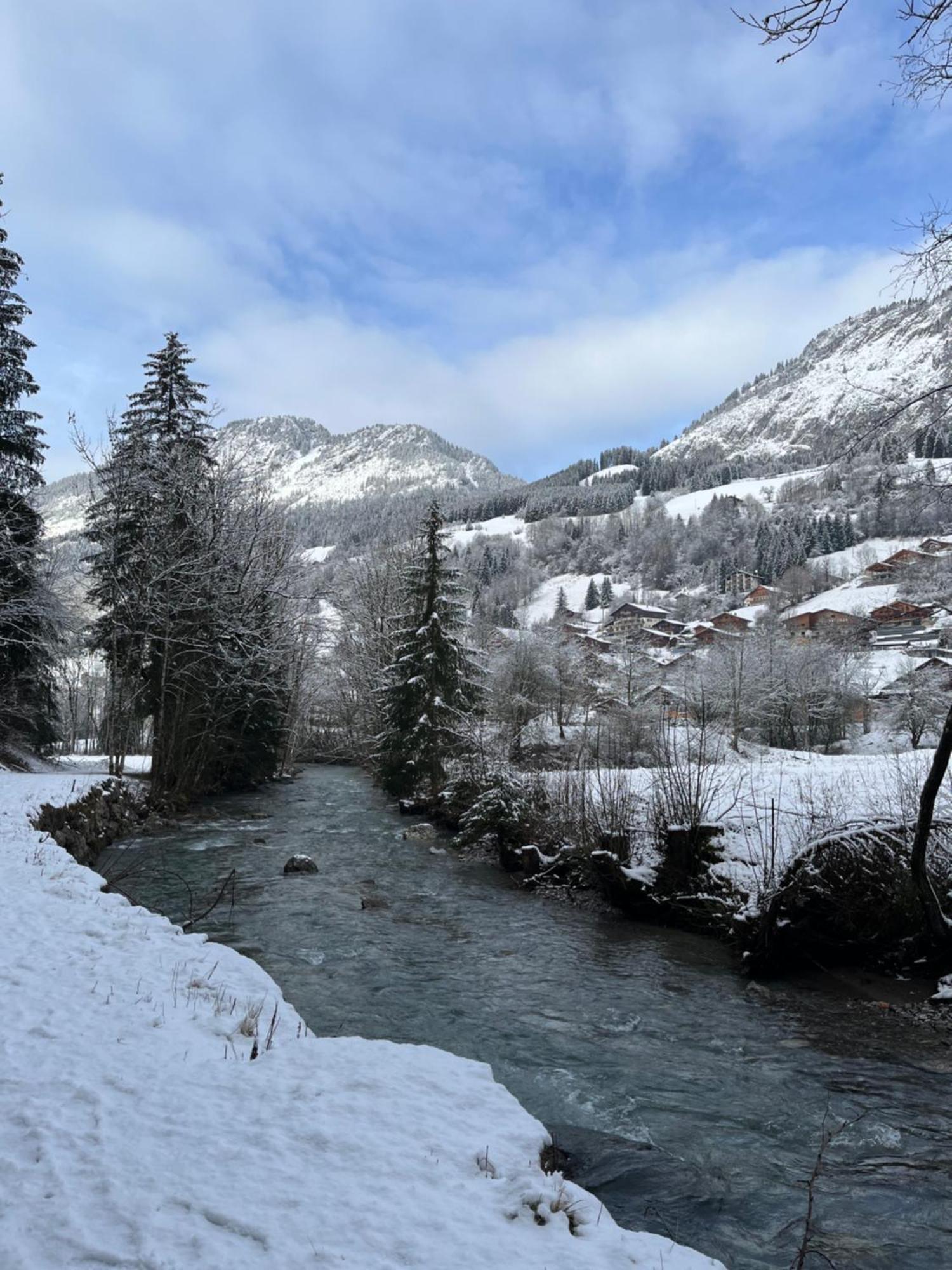Cosy 2 Pieces Proche Chatel Abondance Exteriér fotografie